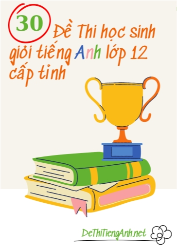 Bộ 30 Đề thi học sinh giỏi tiếng Anh lớp 12 cấp tỉnh (kèm đáp án)